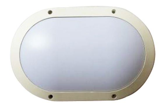 SMD Epistar Ceiling Mount Outdoor LED Wall Light White IK10 IP65 10W 20W 30W supplier